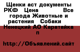 Щенки аст документы РКФ › Цена ­ 15 000 - Все города Животные и растения » Собаки   . Ненецкий АО,Каратайка п.